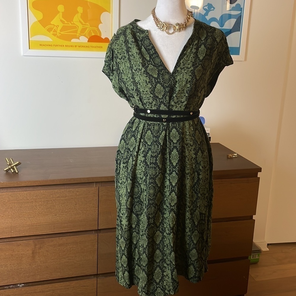 ANTHROPOLOGIE | Rachel Tunic Dress V-Neck Pullover 🐍Snake Animal Print Green S